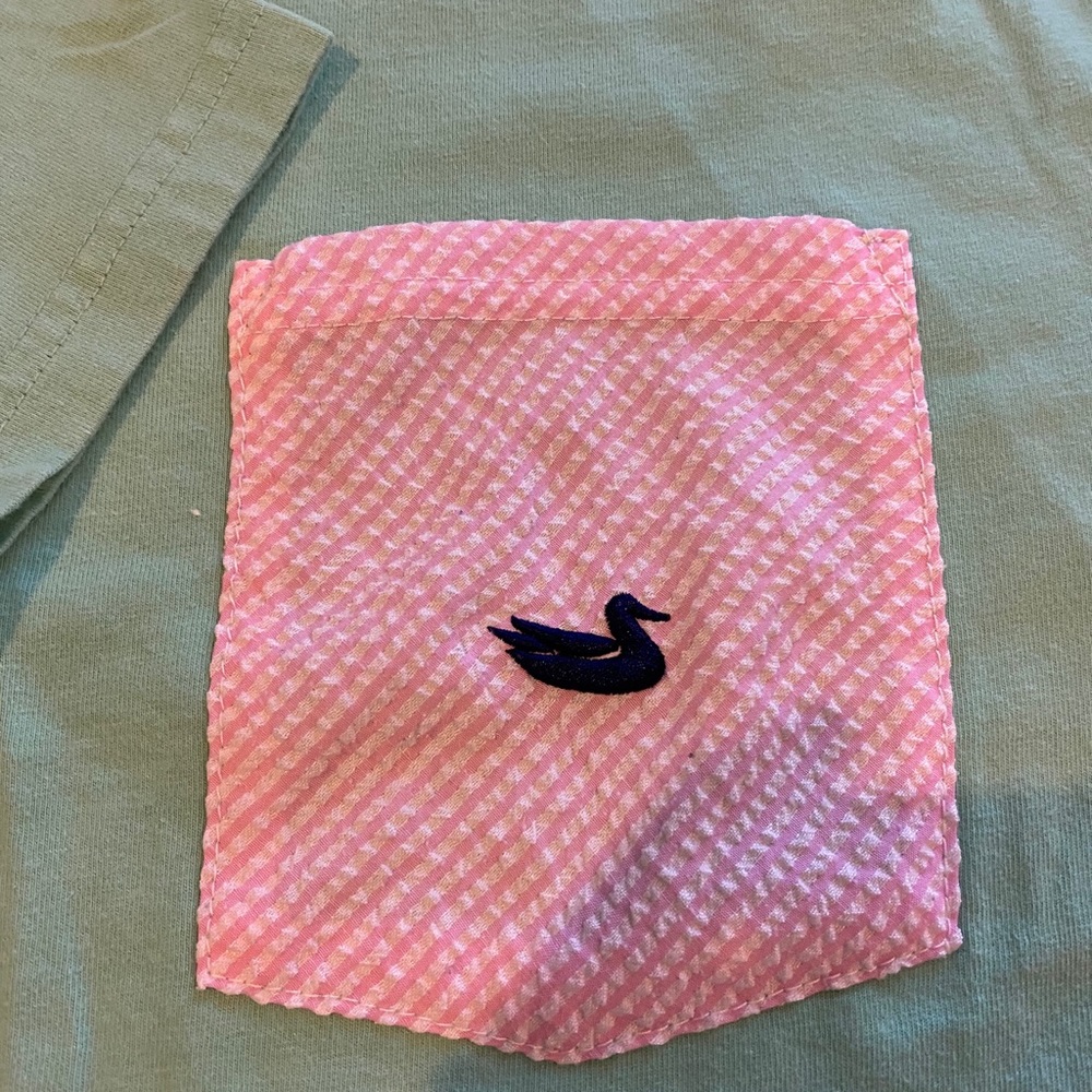 Southern Marsh Frocket